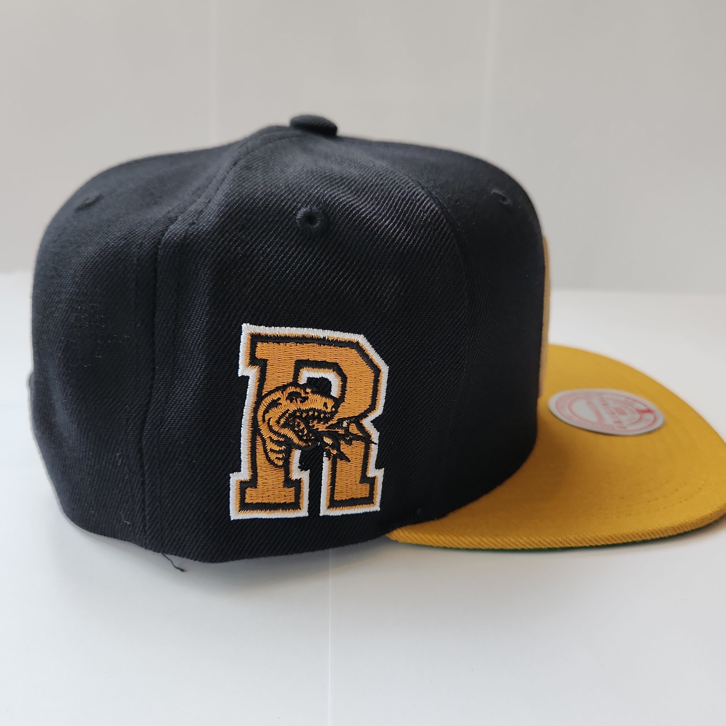 Toronto Raptors NBA Mitchell & Ness pour hommes Black Eye of The Tiger Snapback