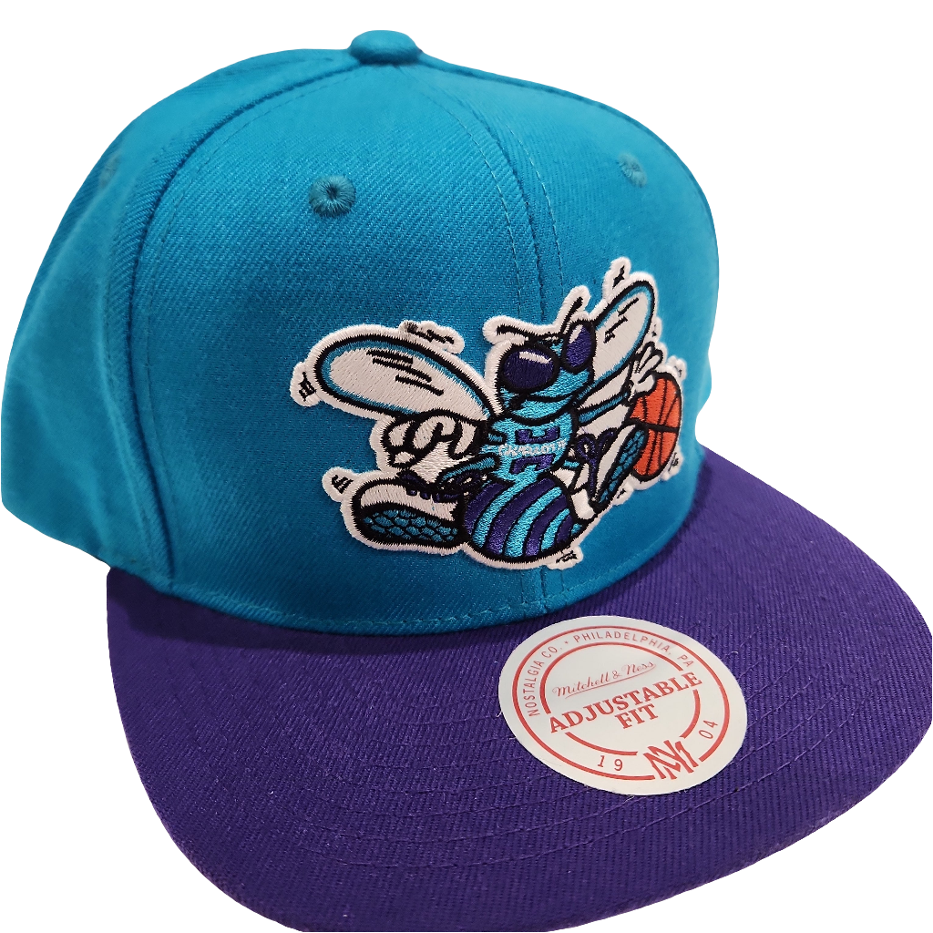 Charlotte Hornets NBA Mitchell &amp; Ness Snapback bicolore sarcelle/violet pour hommes