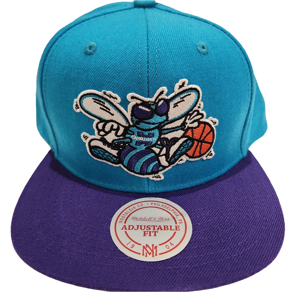 Charlotte Hornets NBA Mitchell &amp; Ness Snapback bicolore sarcelle/violet pour hommes